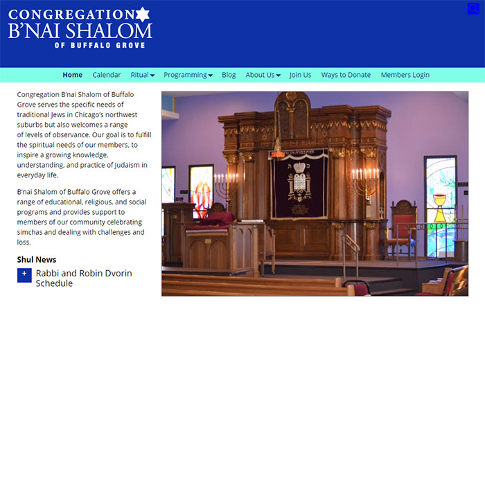 Congregation B'nai Shalom | Platinum Impact